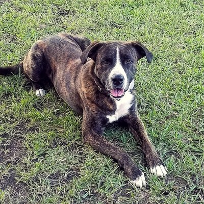 6123161321936534572 Medium