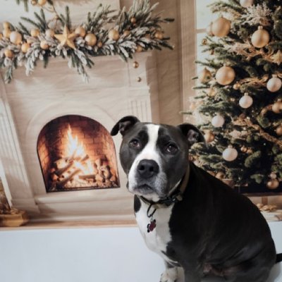 6176894633022127253 Medium