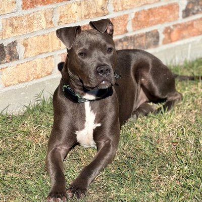 79132323529__B33BAAC4-25AE-4DA8-9E8B-8296433E8397.fullsizerender Medium