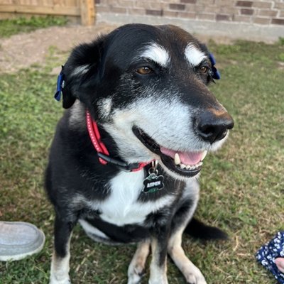 IMG_6954_Original Medium