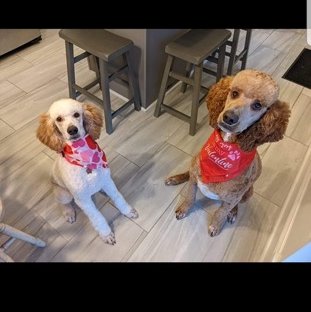 Screenshot_20220216-125237_Facebook Medium