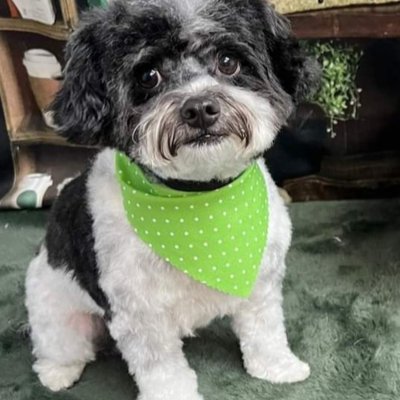 Screenshot_20240323_101735_Gallery